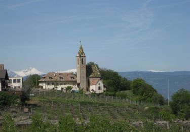 Trail On foot Kaltern an der Weinstraße - Caldaro sulla Strada del Vino - IT-11 - Photo