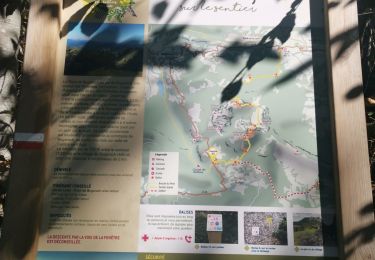 Trail Walking Bugarach - Tour Bugarach  - Photo