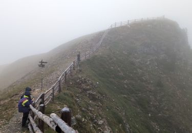 Trail Walking Brixen - Bressanone - Plose : Plöisehütte - Lüsner Scharte - Rossalm - Photo