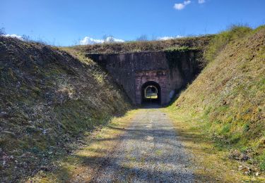 Trail Walking Châlonvillars - Châlonvillars - Fort d'Essert - Bavilliers - retour par la Coulée Verte - Photo