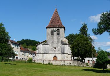 Trail On foot Saint-Aquilin - Promenade de Charroux - Photo