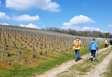 Trail Walking Château-Thierry - Château-Thierry ADR par Essômes sur Marne - Photo