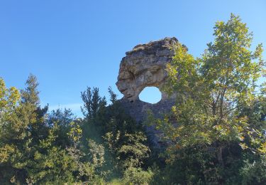 Randonnée Marche Lapanouse-de-Cernon - lapanouse in live - Photo