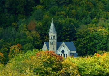 Tour Zu Fuß Schlangenbad - Wanderweg 30 - Photo