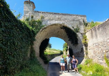 Trail Walking Saumur - MAINE ET LOIRE / SAUMUR: DECRASSAGE - Photo