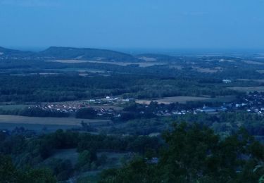 Randonnée Marche Menétru-le-Vignoble - Ménétru Blois sur Seilles Château Chalon 15 sept 2020CAF - Photo