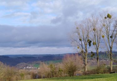 Tour Nordic Walking Comblain-au-Pont - Comblain au pont (Oneux) - Photo