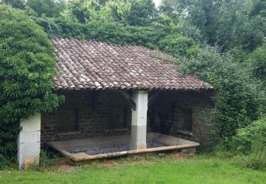 Trail Walking Bissey-sous-Cruchaud - Bissey sous Cruchaud. La Printanière.Depart parking bourg. - Photo