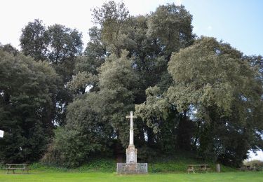 Tocht Te voet Bois-de-Céné - Sentier des Roseaux - Photo