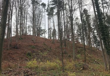 Randonnée A pied Berg am Irchel - Irchel Hochwacht - Winterthur - Photo