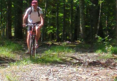 Trail Mountain bike Obernai - ottrott - Photo