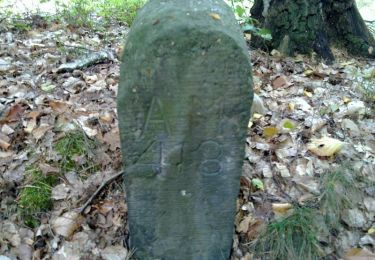 Tour Zu Fuß Dahlen - Rundweg Reudnitz-Jägereiche-Lausa-Reudnitz - Photo