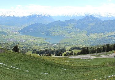 Excursión A pie Unterägeri - CH-Wildspitz - Urzlenboden - Photo