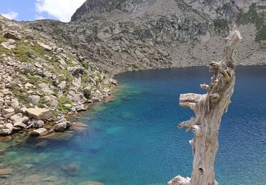 Trail Walking Gavarnie-Gèdre - Le lac noir par Gedre  - Photo
