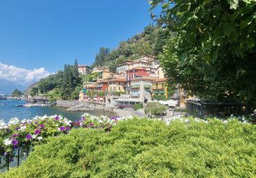 Tour Wandern Perledo - Varenna en visite express - Photo