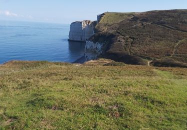 Trail Walking Le Tilleul - Le Tilleul - Jumel - Etretat - Photo