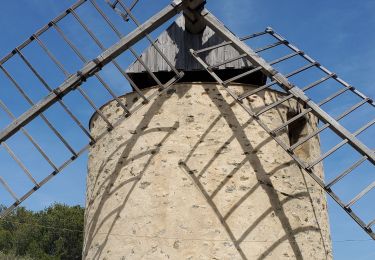 Randonnée Marche Hyères - porquerolles - Photo