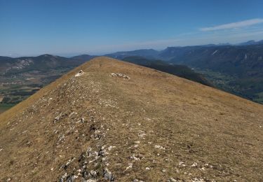 Tocht Stappen Saint-Agnan-en-Vercors - 26 but neve - Photo