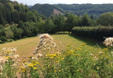 Tocht Mountainbike Malmedy - Malmedy - Carrières de la Warche - Photo