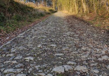 Excursión Senderismo Nandrin - Jolie boucle anthinoise au départ de Favence (Nandrin) - Photo