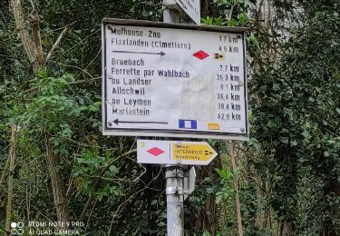 Trail Walking Mulhouse - Zoo - Photo
