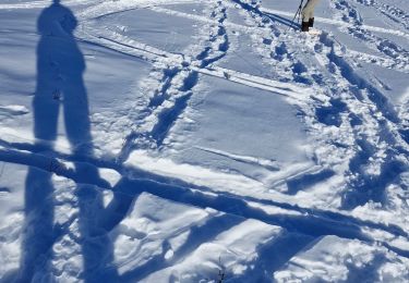 Excursión Raquetas de nieve Seyne - 20250205grandpuy - Photo