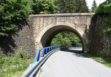 Excursión A pie Lidečko - NS Javornický hřeben - Photo