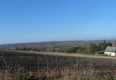 Tour Wandern Quevillon - 20211218-Quevillon  - Photo
