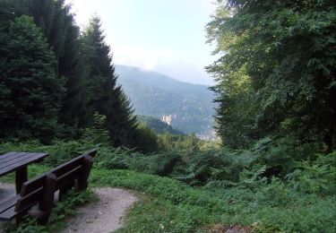 Randonnée A pied Dossenheim - Rundwanderweg Dossenheim Weißer Stein 9: Hirschhang Weg - Photo