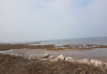 Trail Walking Le Château-d'Oléron - le château  - Photo