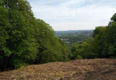 Tour Wandern Lüttich - SART TILMAN  - Photo