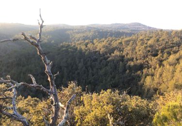 Randonnée V.T.T. Barjols - Le belvédère  - Photo