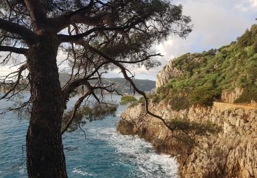 Trail Walking Nice - Vieux Nice- Beaulieu par la côte  - Photo