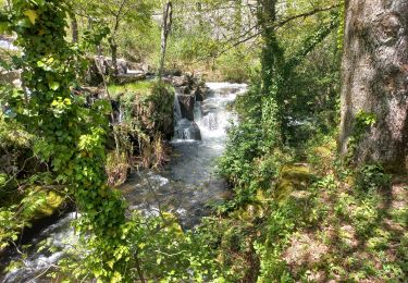 Tocht Stappen Brousses-et-Villaret - Le Villaret - Photo