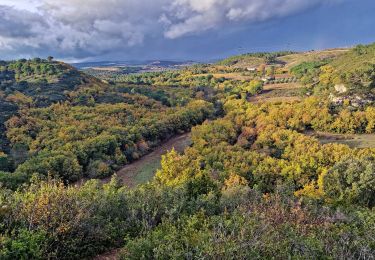 Tocht Stappen Conques-sur-Orbiel - Les Hauts du Rieu Sec - Photo