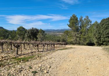 Tour Wandern Aspères - Asperes-stClement-gailhan-lecques - Photo