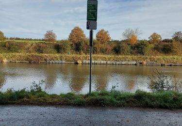 Trail Walking Pont-à-Celles - PONT - A - CELLES _ Marche Fédérale _ Hainaut _ 31/10/2021 - Photo