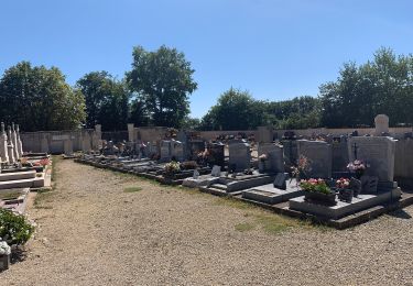 Tocht Te voet Saint-Paul-de-Varax - Sentier Louis Jourdan - Photo