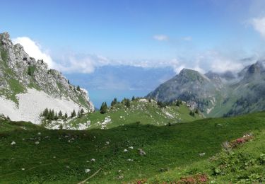 Percorso Marcia Vacheresse - LAC DARBON CHAROUSSE - Photo