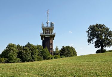 Randonnée A pied Gemeinde Wienerwald - Stangau - Wöglerin - Gruberau - Photo