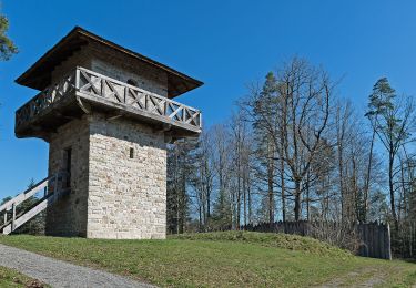 Tocht Te voet Großerlach - Blaues Plus - Photo