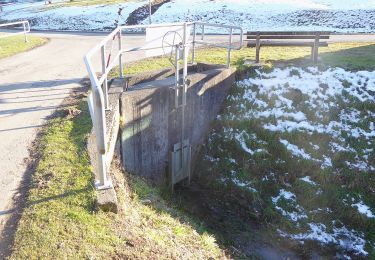 Tocht Te voet Sankt Veit in der Südsteiermark - Wein-Wasser-Weg - Photo