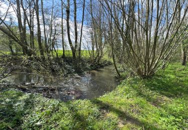 Randonnée Marche Vendegies-sur-Écaillon - Vendegies sur Ecaillon - Menhir 16,8 k - Photo