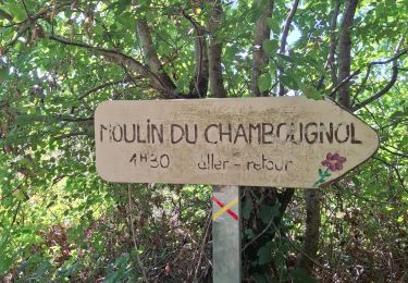 Trail Walking Saint-Pantaléon-de-Lapleau - Le moulin de Chambougnol en boucle - Photo