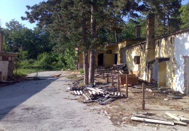 Percorso A piedi Szászvár - P+ Dömörkapu-Szászvár - Photo