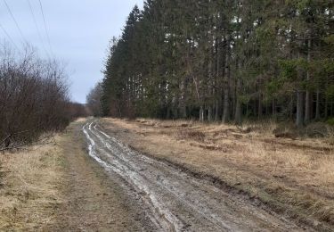 Trail Walking Theux - vertbuisson . chefna . porallee  . éolienne bronrome . vertbuisson - Photo