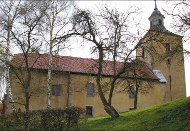 Trail On foot Rotenburg an der Fulda - Braach Rundweg B5 - Photo