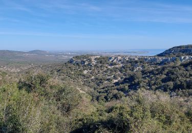 Excursión Senderismo Fabrègues - La Gardiole Est  - Photo