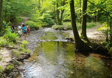 Excursión Senderismo Chiny - Marche ADEPS 10KM à Chiny - Photo