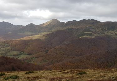 Tour Wandern Saint-Jacques-des-Blats - Le puy du Griou - Photo